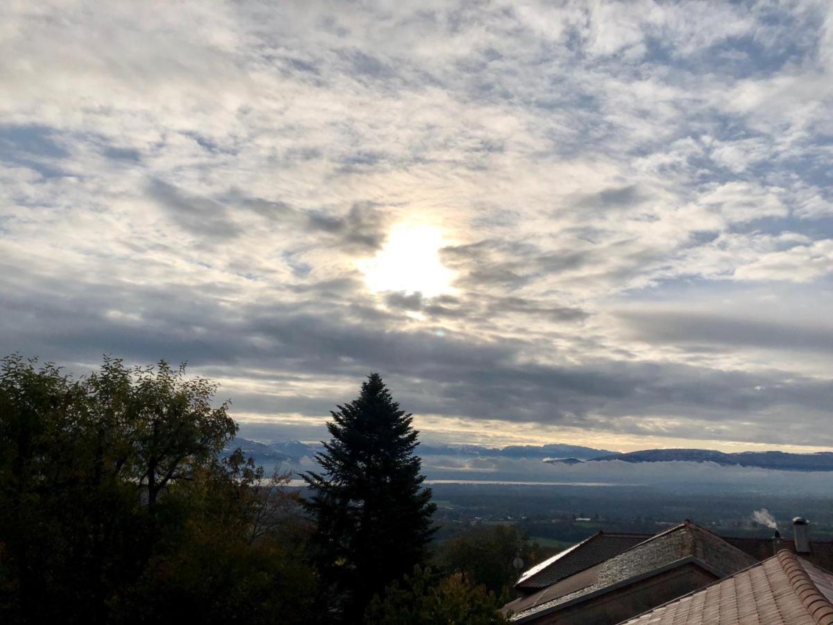 Les Lumieres De Geneve Bed and Breakfast Grilly Exteriör bild
